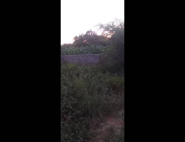 14HA FARM FOR SALE IN HA-MATSA